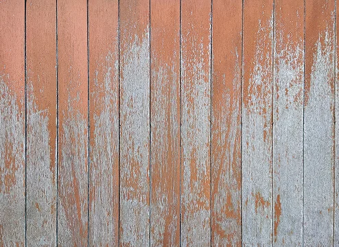 特殊塗装の写真